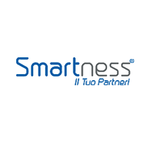 Smartness Company Logo