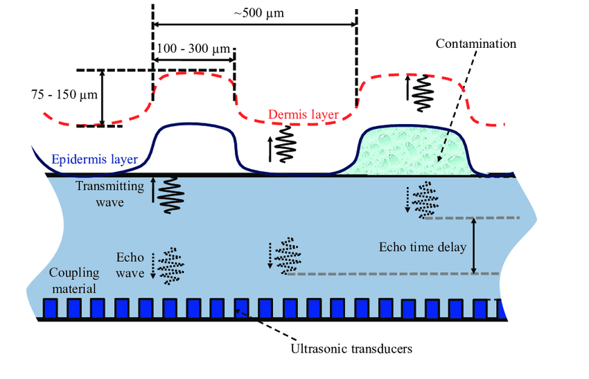 Ultrasonic fingerprint recognition technology